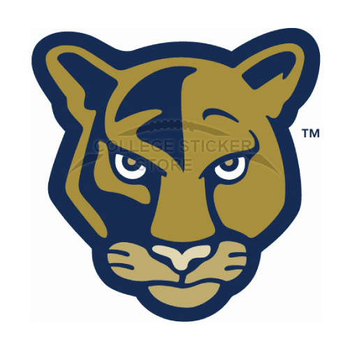 Design FIU Panthers Iron-on Transfers (Wall Stickers)NO.4364